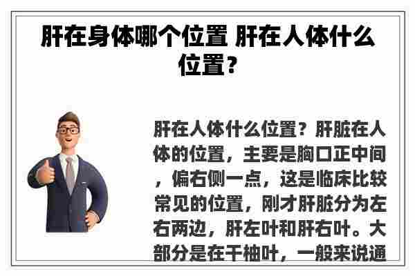 肝在身体哪个位置 肝在人体什么位置？